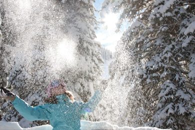 Snowbird c Snowbird Ski and Summer Resort © Snowbird Ski and Summer Resort